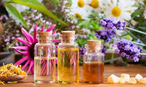 5 Ways to Use Cypress Essential Oil at Your Home